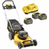 DeWALT Akku-Rasenmäher DCMW564N-XJ 2x18 Volt Inkl. Akku Starter-Set DCB118T3-QW - Mähen Und Mulchen, 55l Grasfangkorb